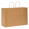 Brown Shopping Kraft Bag